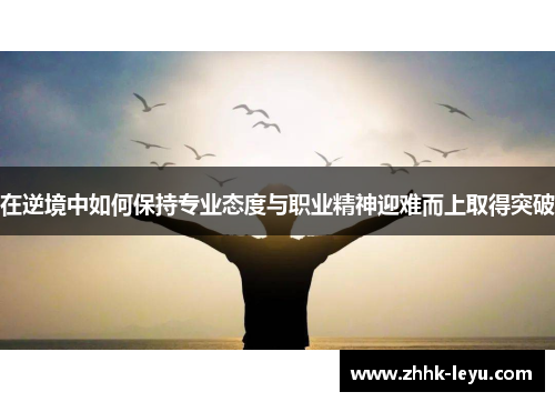 在逆境中如何保持专业态度与职业精神迎难而上取得突破