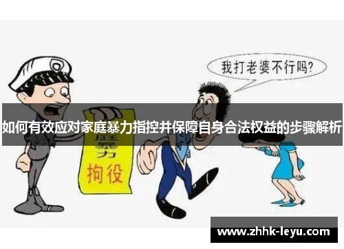 如何有效应对家庭暴力指控并保障自身合法权益的步骤解析