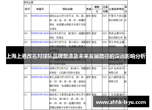 上海上港改名对球队品牌塑造及未来发展路径的深远影响分析