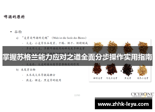 掌握苏格兰能力应对之道全面分步操作实用指南