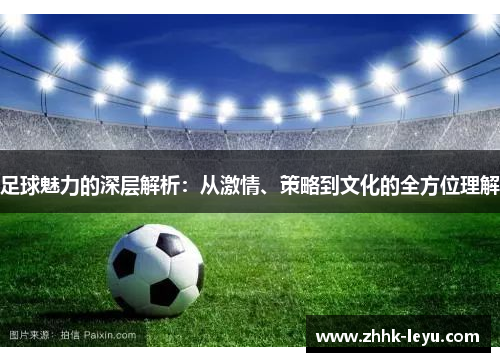 足球魅力的深层解析：从激情、策略到文化的全方位理解