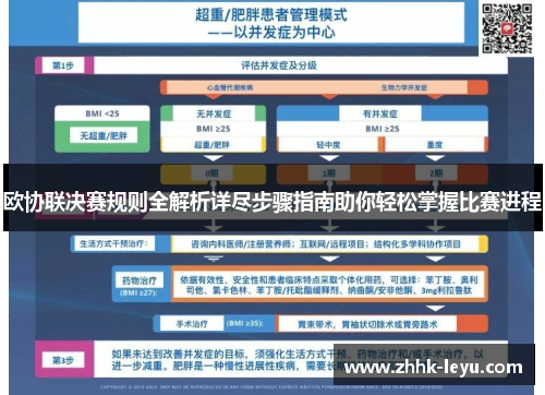 欧协联决赛规则全解析详尽步骤指南助你轻松掌握比赛进程