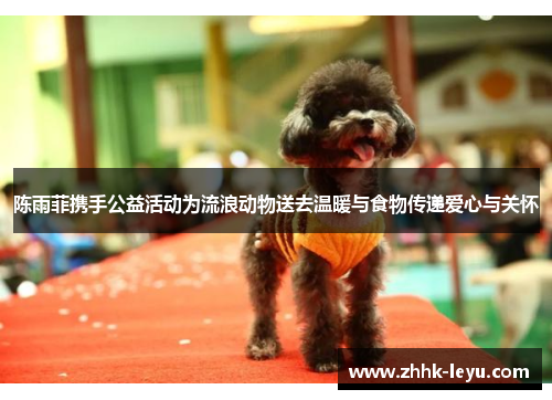 陈雨菲携手公益活动为流浪动物送去温暖与食物传递爱心与关怀