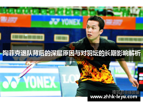 陶菲克退队背后的深层原因与对羽坛的长期影响解析
